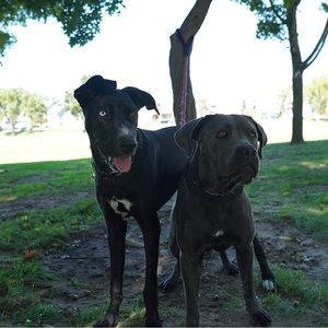 Meet your Posher, Ernesto